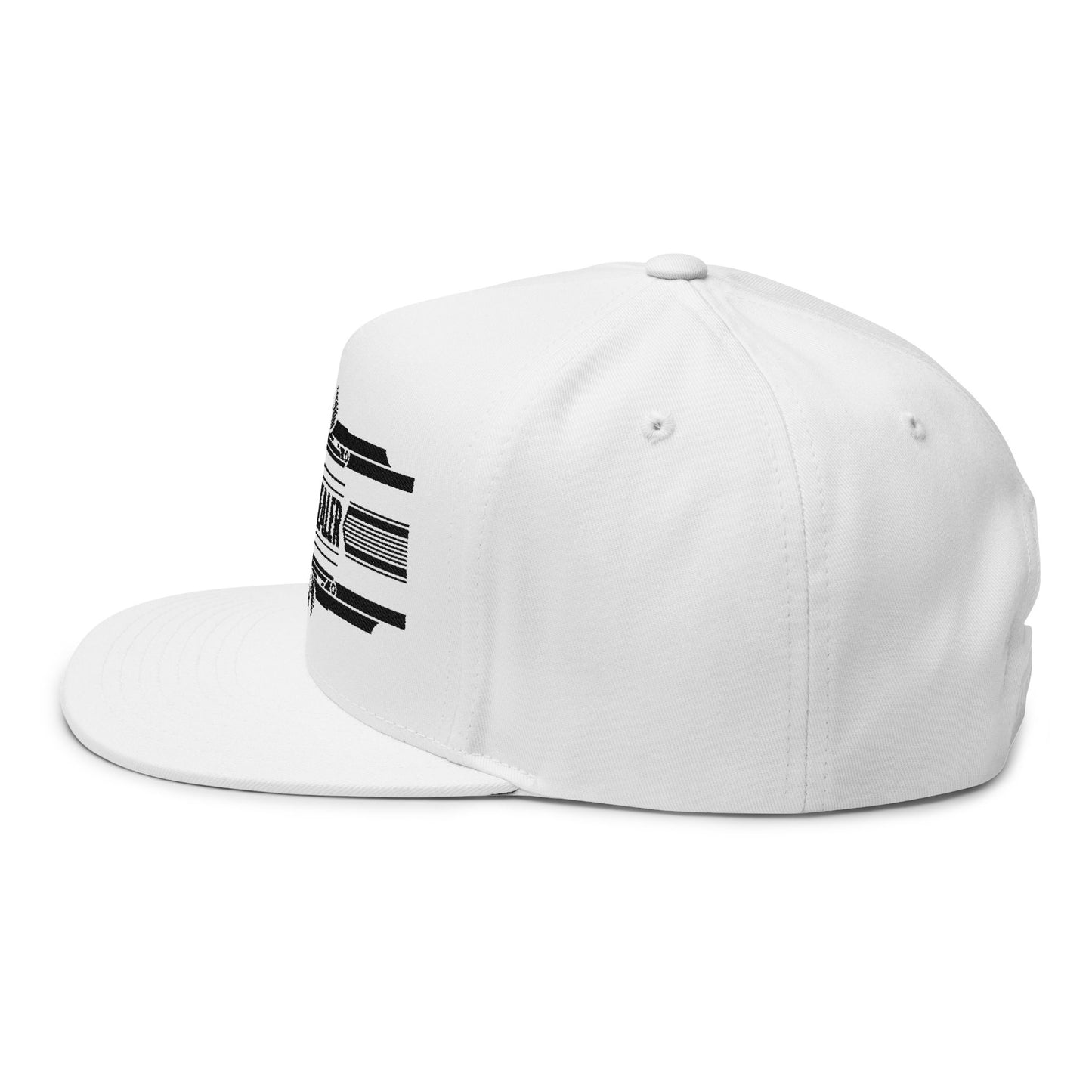 Sound Healer Embroidered Flat Bill Cap, Trendy Snapback Hat for Music Lovers, Perfect Gift for Festivals, Unique Baseball Cap, Hip Hop